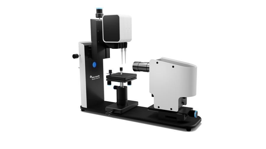 theta-lite-auto-2