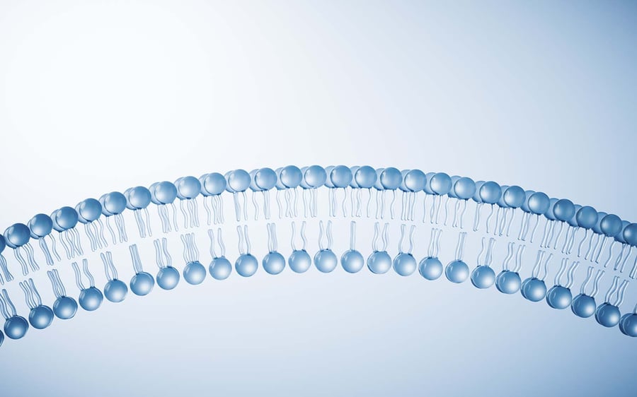 Biomembrane