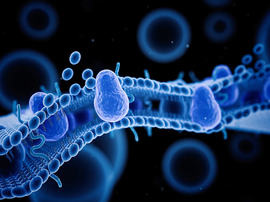 Supported lipid bilayer formation QCM-D