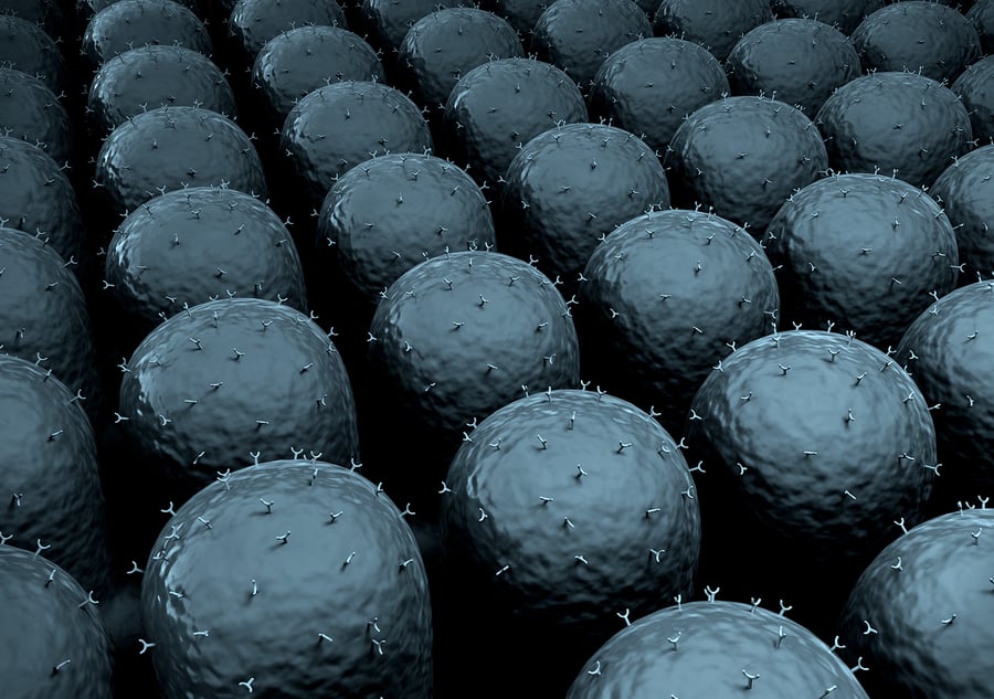 Surface adsorbed vesicles