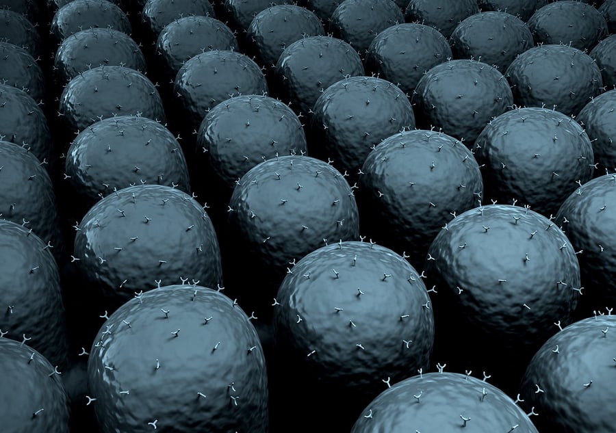 Surface adsorbed vesicles