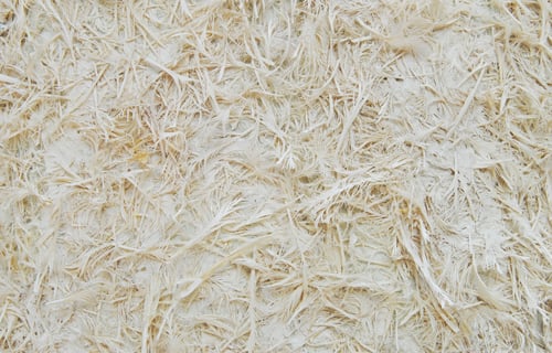Nanocellulose-2-500